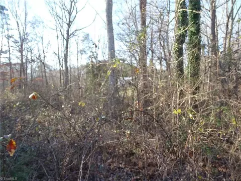 0 Green Dr, High Point, NC 27265 photo 7