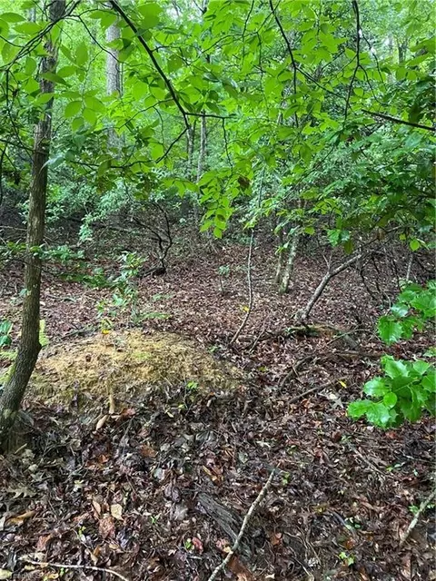 tbd Fieldstone Dr, Wilkesboro, NC 28697