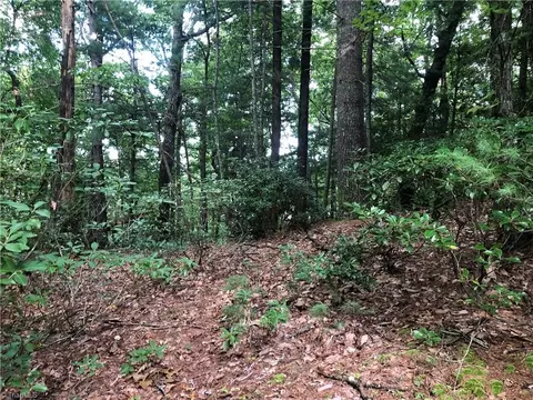 lot86 Buck Mountain Rd, Purlear, NC 28665 photo 11