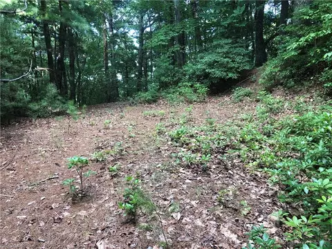 lot86 Buck Mountain Rd, Purlear, NC 28665 photo 7