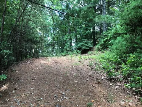 lot86 Buck Mountain Rd, Purlear, NC 28665 photo 12
