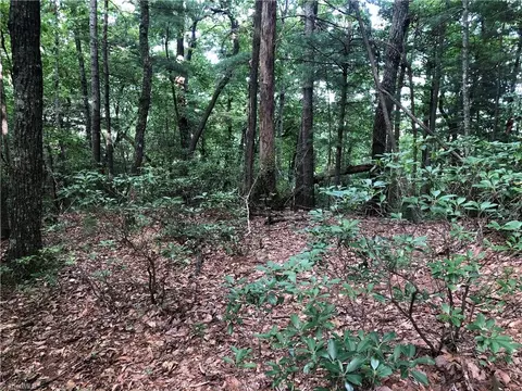 lot86 Buck Mountain Rd, Purlear, NC 28665 photo 9