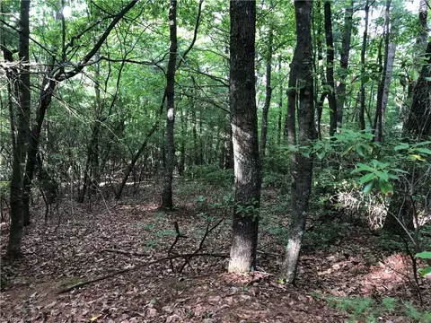 lot86 Buck Mountain Rd, Purlear, NC 28665 photo 10