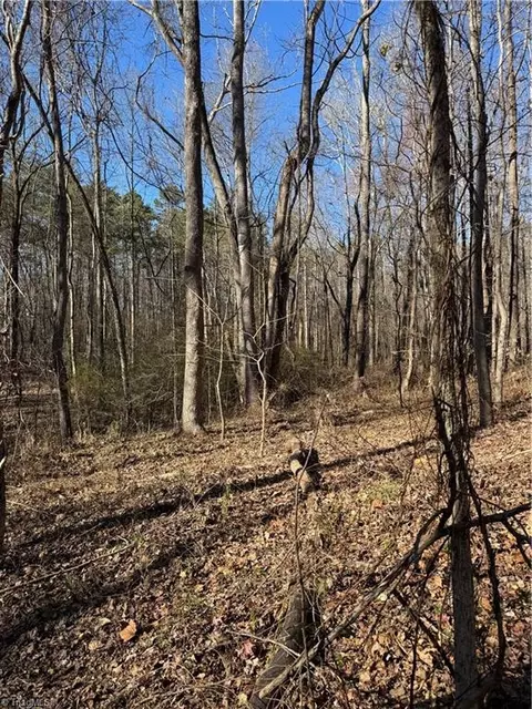 Tract C Robbins Country Road, Trinity, NC 27370 photo 14