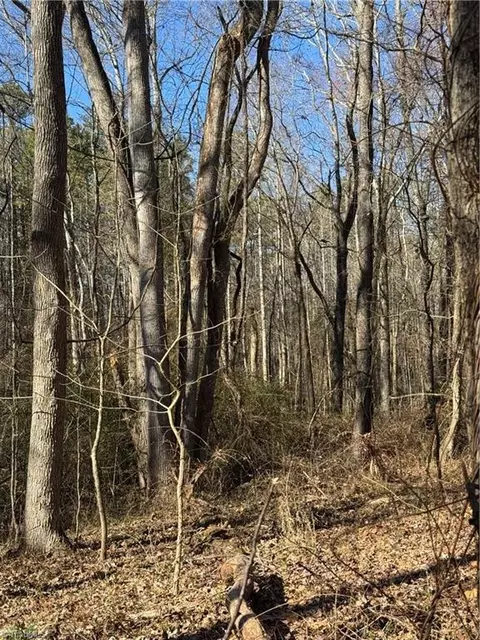 Tract C Robbins Country Road, Trinity, NC 27370 photo 12