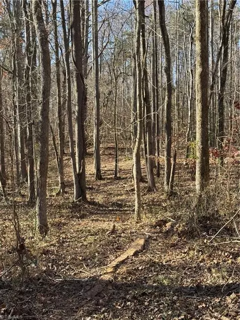 Tract C Robbins Country Road, Trinity, NC 27370 photo 11