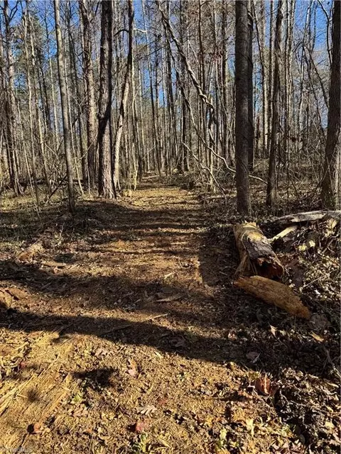 Tract C Robbins Country Road, Trinity, NC 27370 photo 9