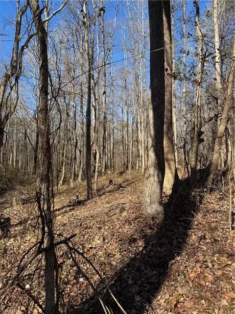 Tract C Robbins Country Road, Trinity, NC 27370 photo 13