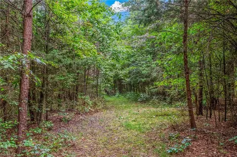 00 Wyo Rd, Yadkinville, NC 27055