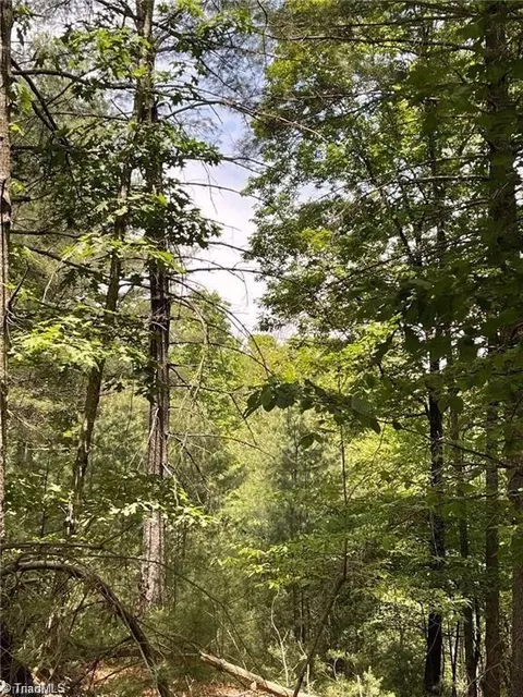 lot7 Overland Trl, Hays, NC 28635