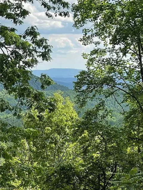 lot8 Dogwood Rd, Moravian Falls, NC 28654