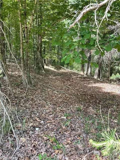 lot8 Overland Trl, Hays, NC 28635