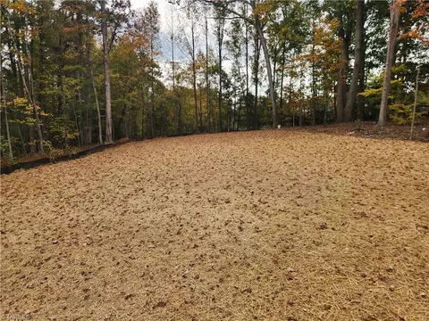 548 Saddlebred Loop, Stokesdale, NC 27357 photo 3