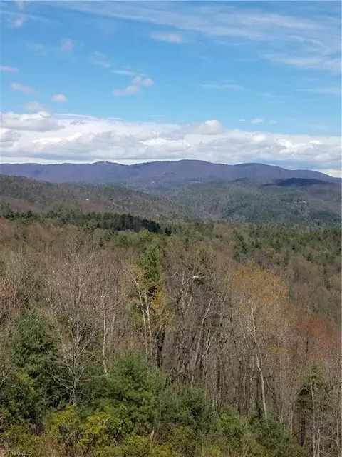 6 Bobcat Mountain Rd, Purlear, NC 28665