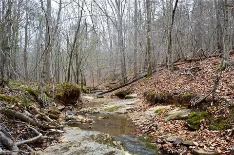 00 Easley Rd, Eden, NC 27288