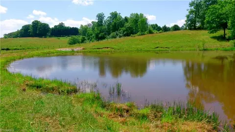 000 Tom Hunter Rd, Pilot Mountain, NC 27041