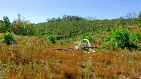 6 Howell Rd, Pilot Mountain, NC 27041 photo 25