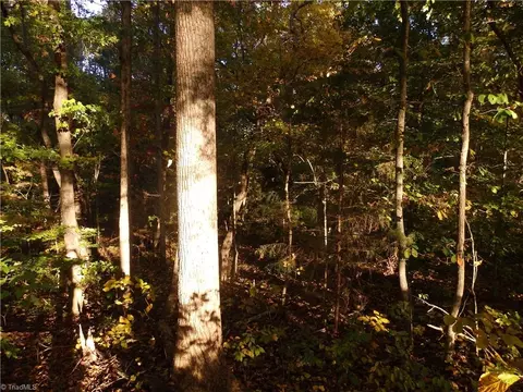 0 Tabernacle Church Rd, Trinity, NC 27370 photo 5