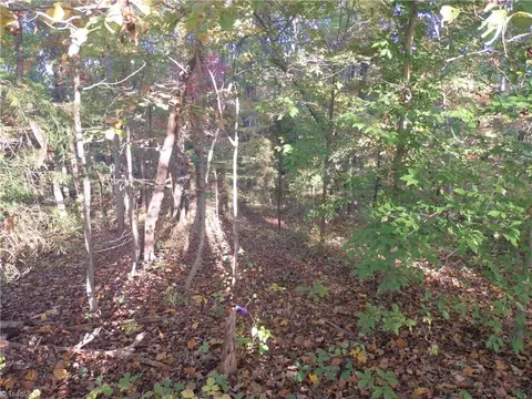 0 Tabernacle Church Rd, Trinity, NC 27370 photo 7