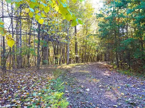5400 Haw Patch Rd, Ferrum, VA 24088 photo 6
