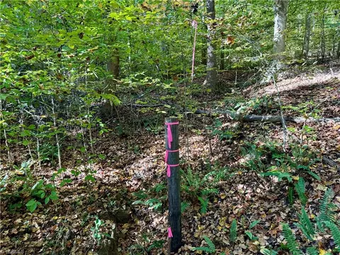 3625 Thayer Rd, Trinity, NC 27370 photo 9