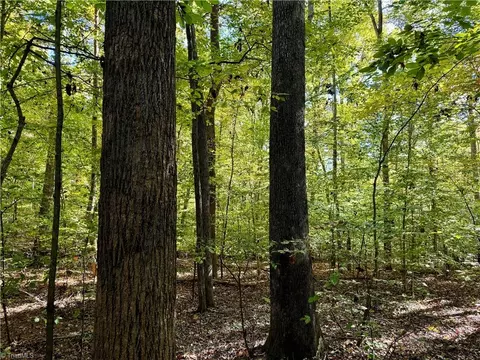 3625 Thayer Rd, Trinity, NC 27370 photo 5