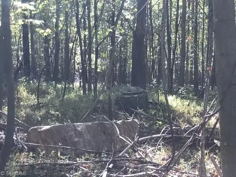 00 Old Railroad Grade Rd #RAILROAD GRADE ROAD, Thurmond, NC 28683