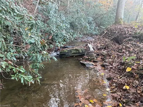 703 Buckwheat Rd, Mcgrady, NC 28649