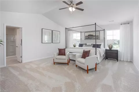 Bedroom - 8501 Cripplegate Trce, Browns Summit, NC 27214 photo 1 of 9