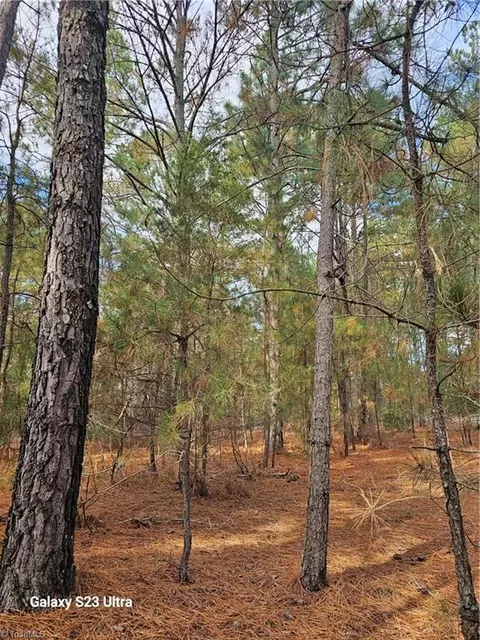 800 Windblow Rd, Jackson Springs, NC 27281