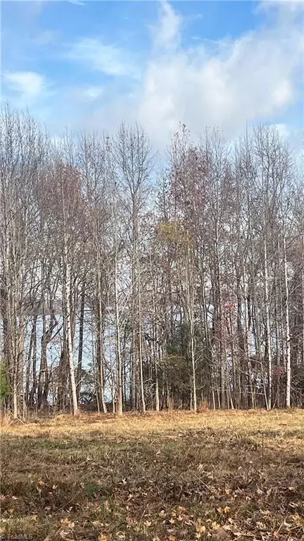 00 Commonwealth Rd, Randleman, NC 27317 photo 25