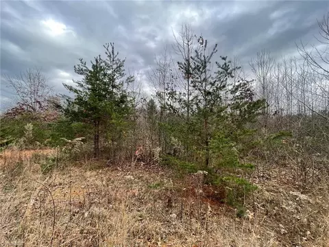 lot12 Pulco Ln, Ronda, NC 28670