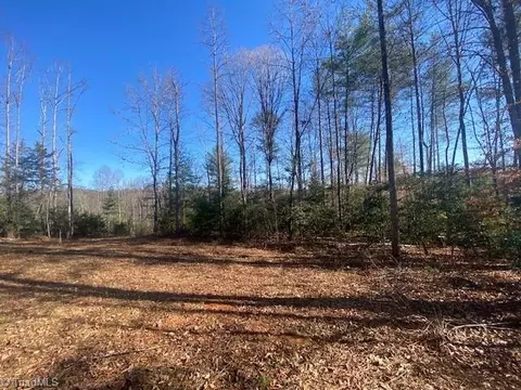 lot Apt 3 Bayberry Ln, Purlear, NC 28665