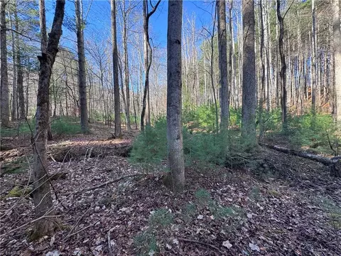 4 23 Mcintosh Dr, Lowgap, NC 27024 photo 9