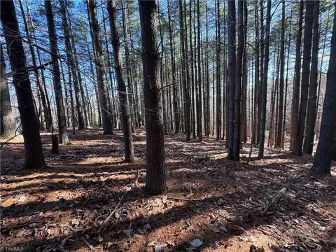 4 23 Mcintosh Dr, Lowgap, NC 27024 photo 2
