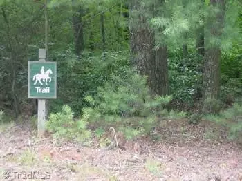 4 23 Mcintosh Dr, Lowgap, NC 27024 photo 23