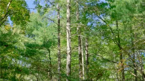 756 Valley View Dr, Purlear, NC 28665 photo 22