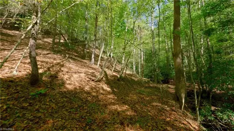 756 Valley View Dr, Purlear, NC 28665 photo 30