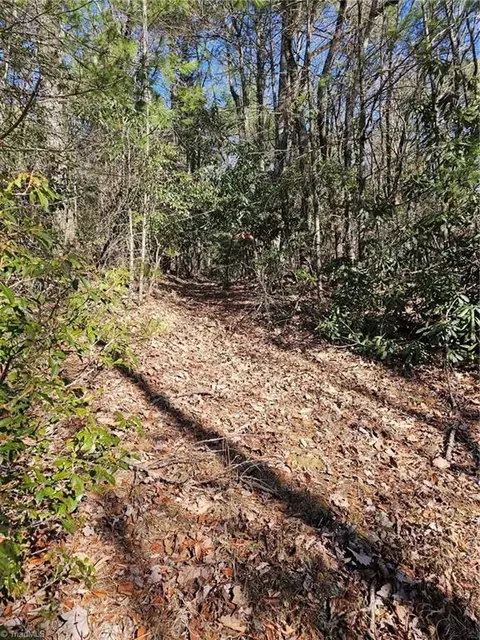 lot10 Carolina Rd, Millers Creek, NC 28651