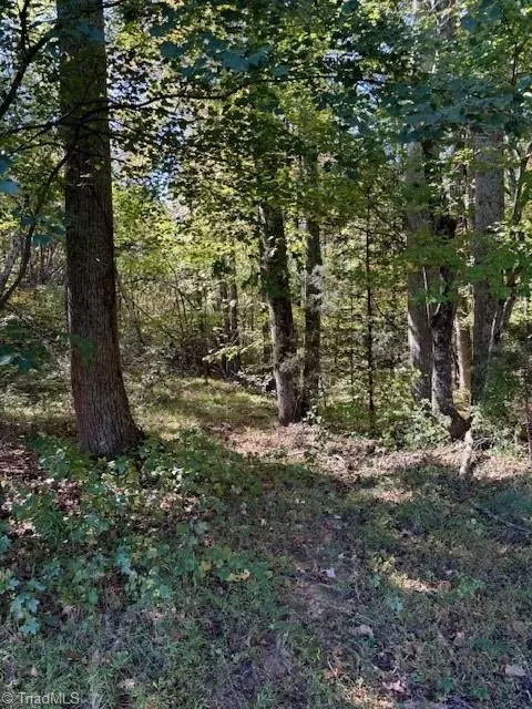 00 Sunset Rd, Pelham, NC 27311 photo 4