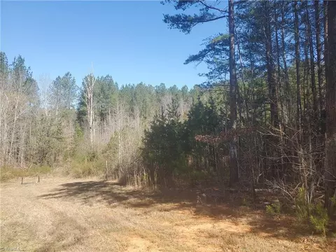 1969 Mulberry Academy St, Franklinville, NC 27248