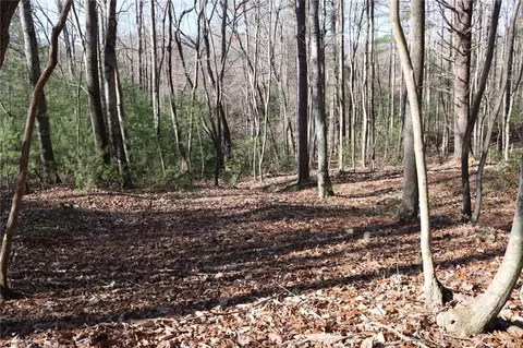 Exterior - 110 Mabel Ln, Lowgap, NC 27024 photo 9 of 10