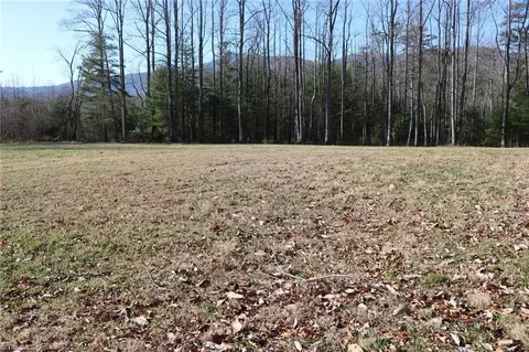 Exterior - 110 Mabel Ln, Lowgap, NC 27024 photo 8 of 10