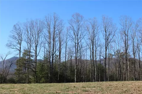Other - 110 Mabel Ln, Lowgap, NC 27024 photo 11 of 16