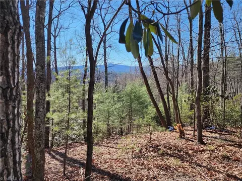 000 Mountain Vista Dr, Mcgrady, NC 28649