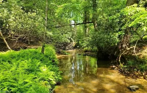 tbd Fisher Valley Rd, Dobson, NC 27017