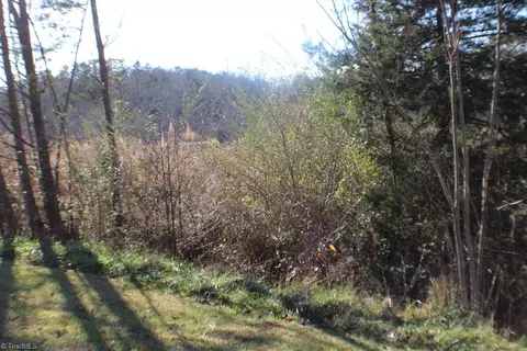 2086 Ray Loop Rd, Westfield, NC 27053 photo 33