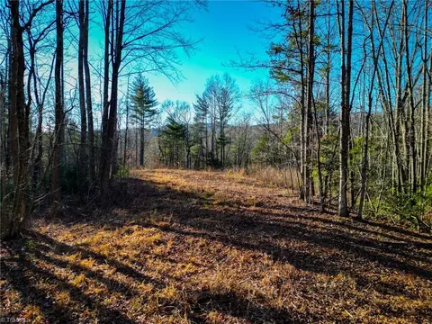 3399 Beaver Creek Rd, Boomer, NC 28606