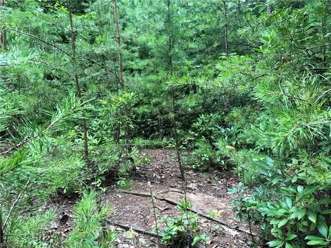 lot164 Staghorn Rd, Purlear, NC 28665 photo 12