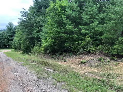 lot164 Staghorn Rd, Purlear, NC 28665 photo 7